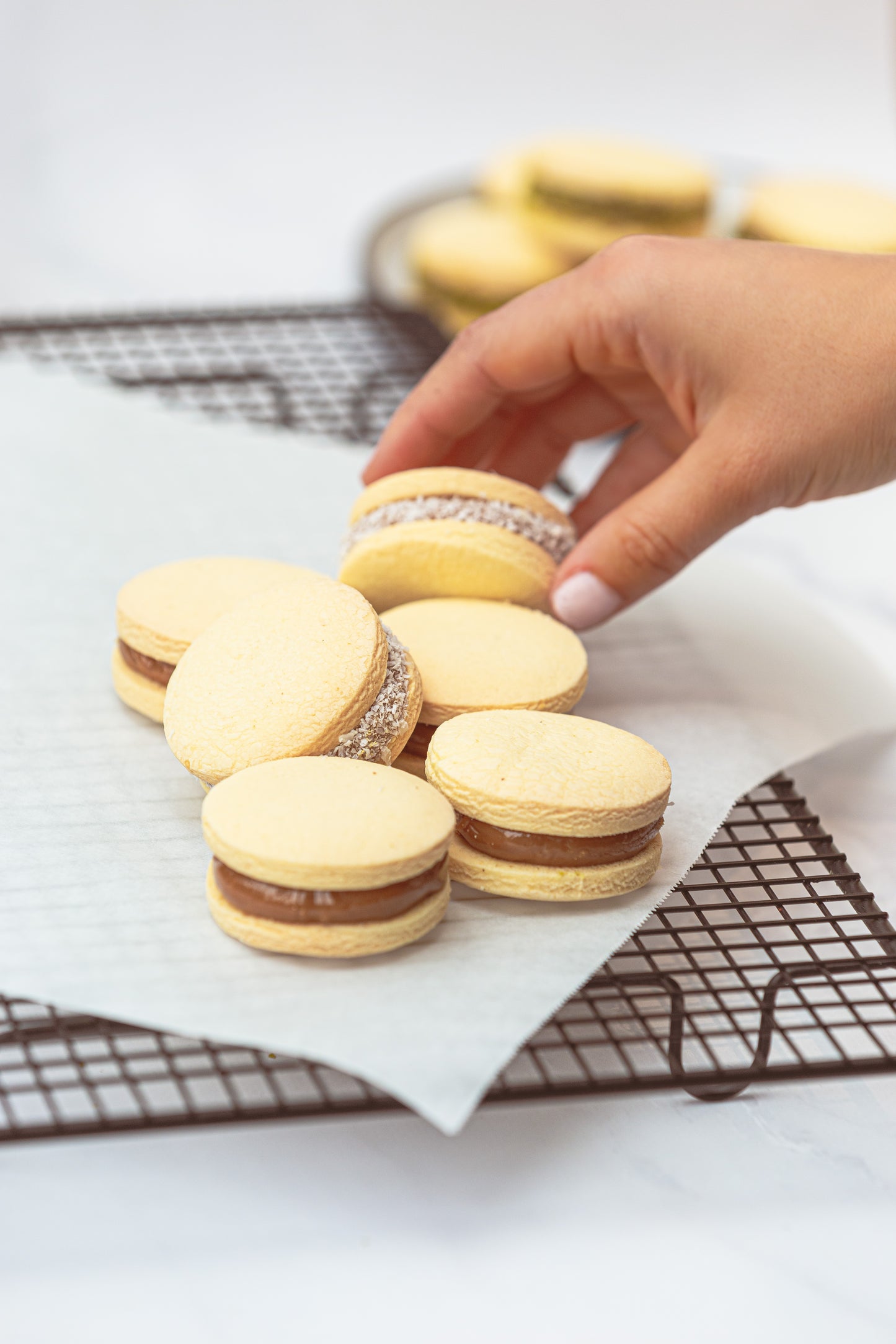 Box of Alfajores